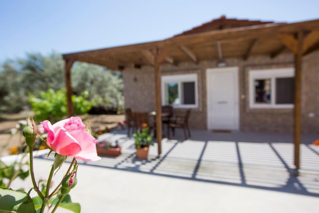 Serenity Studio Beach Home อาฟานโท ภายนอก รูปภาพ